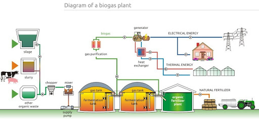Bio Gas Plant